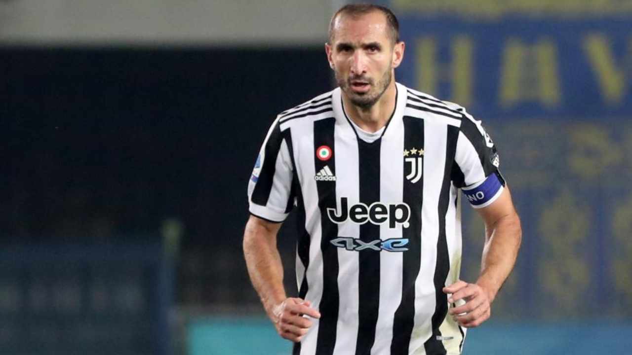 Chiellini a Verona - foto LaPresse